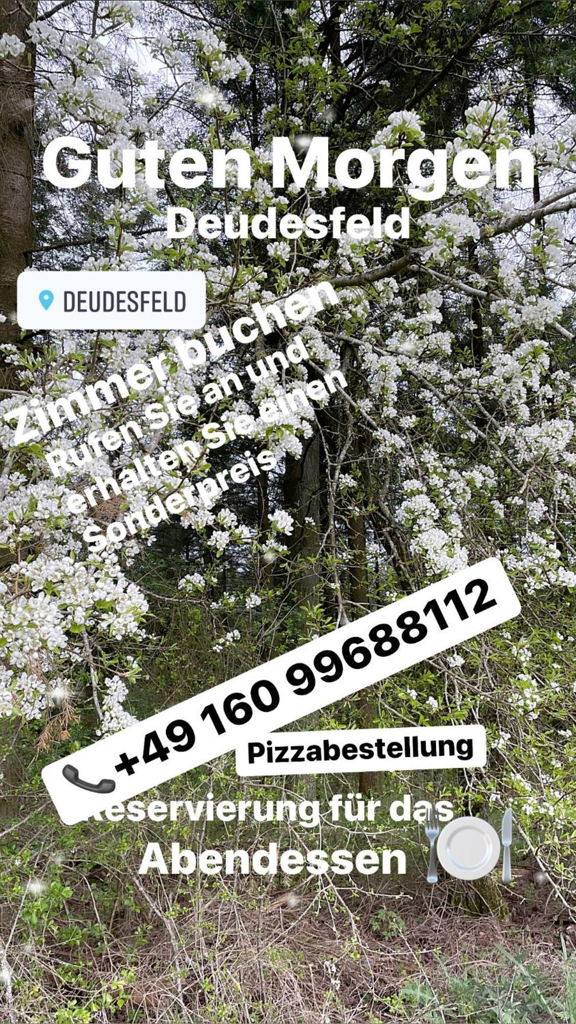 Pension Zur Quelle Deudesfeld Экстерьер фото